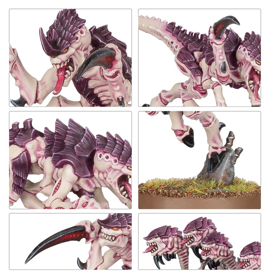 Tyranid - Tyranid Hormagaunts