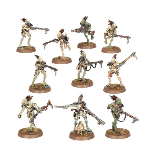 T'au Empire - Kroot Carnivores