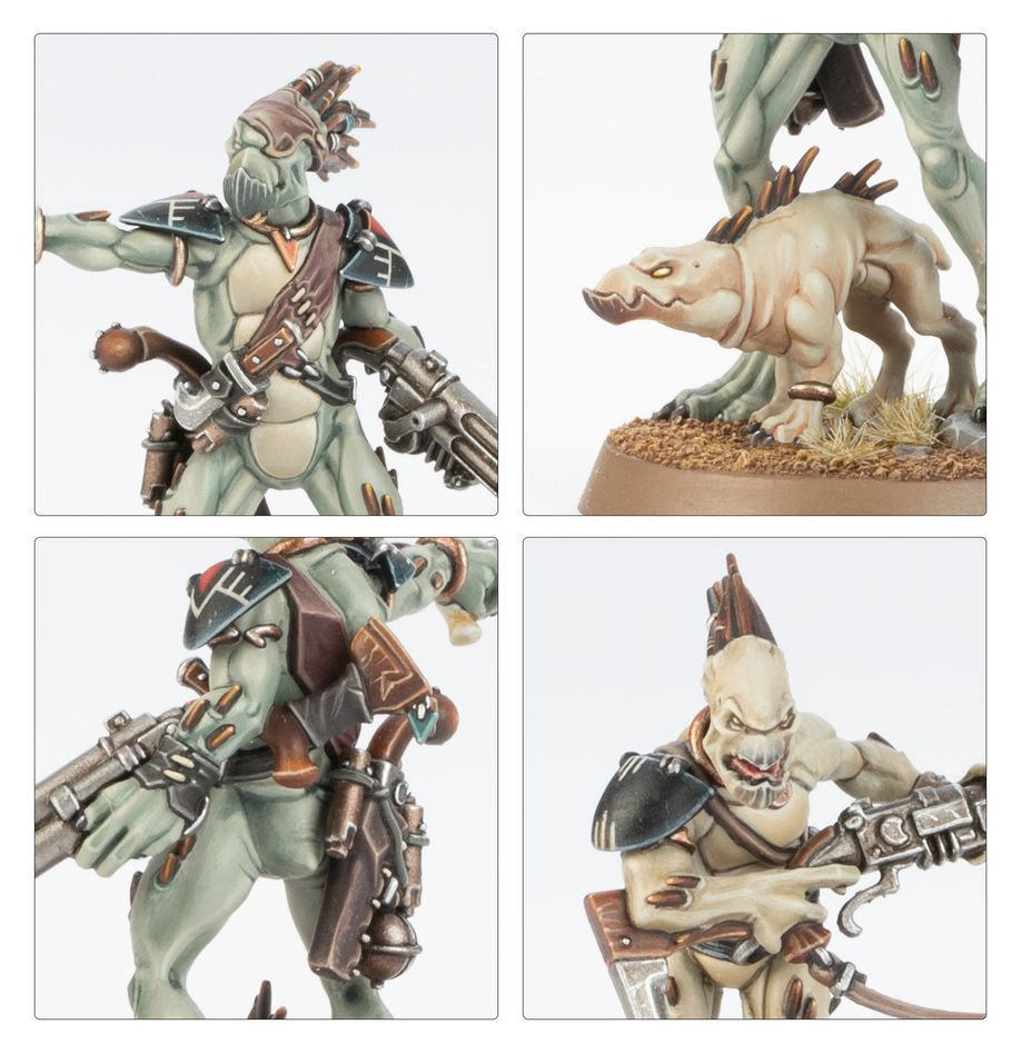 T'au Empire - Kroot Carnivores