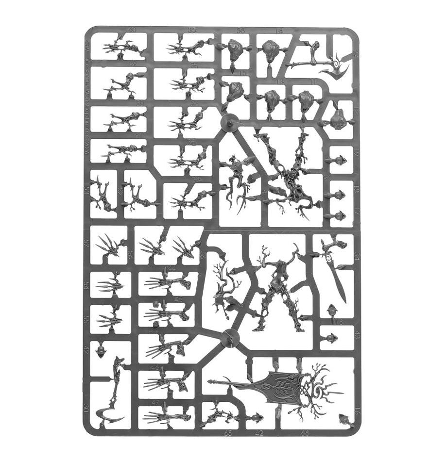 Spearhead: Sylvaneth