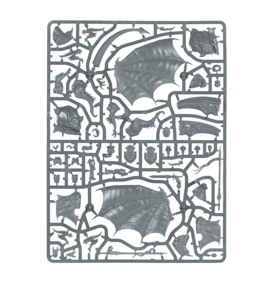 Stormcast Eternals - Stormdrake Guard