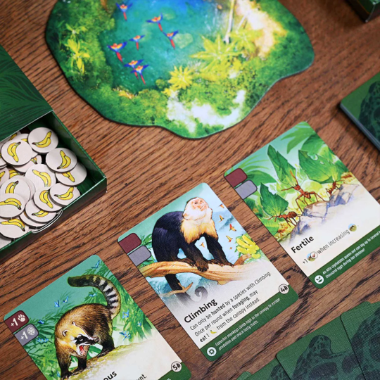 Nature - Module 5: Rainforest product image 4