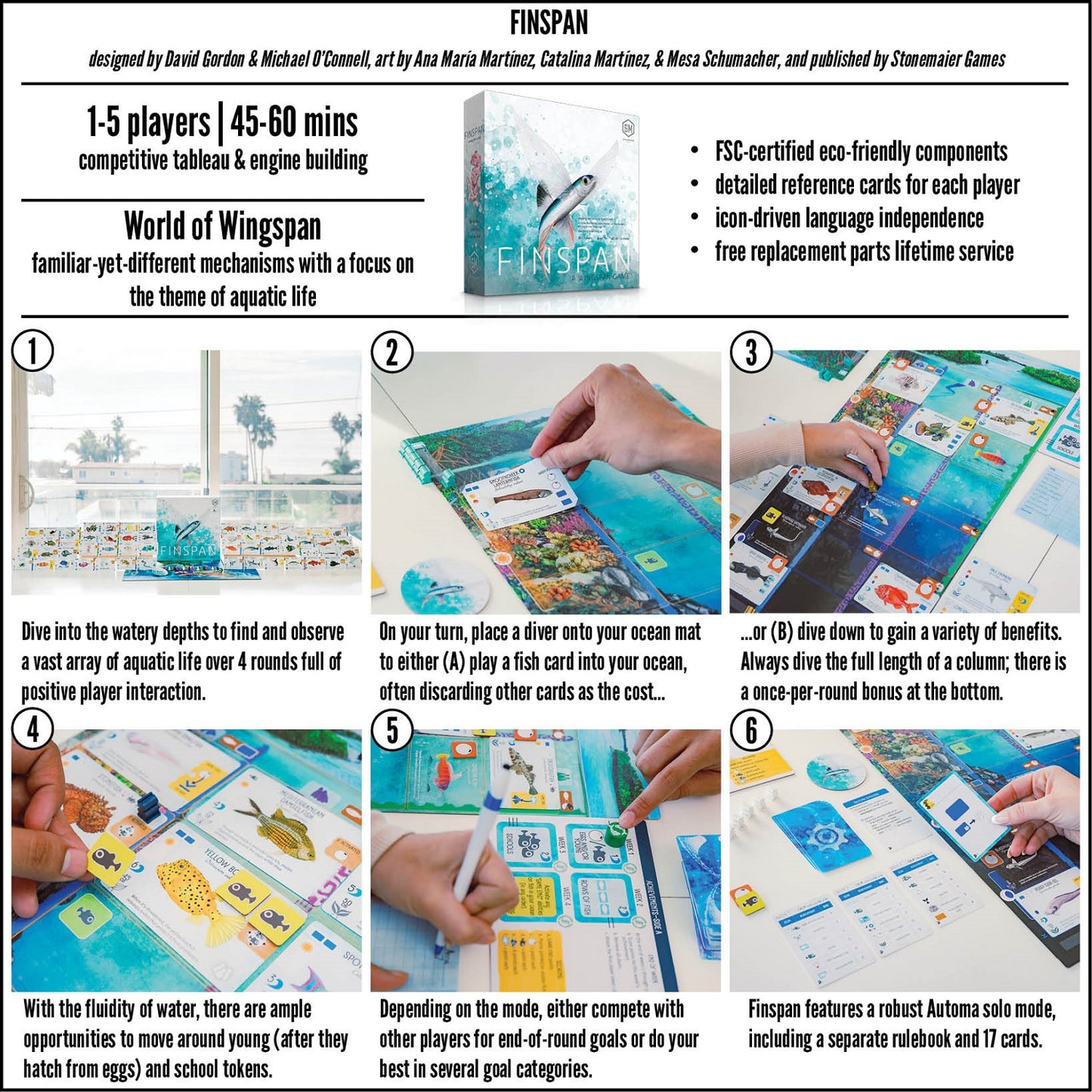 Finspan Board Game