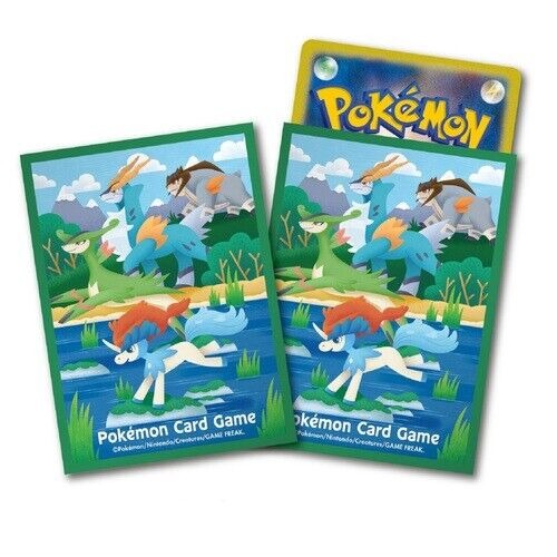 2 card sleeves are shown, with a card inserted into the right sleeve.