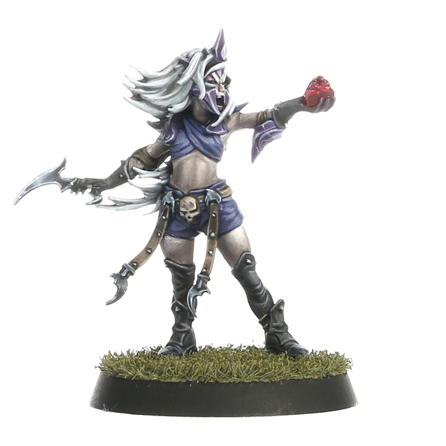 Dark Elf Blood Bowl Team - Naggaroth Nightmares