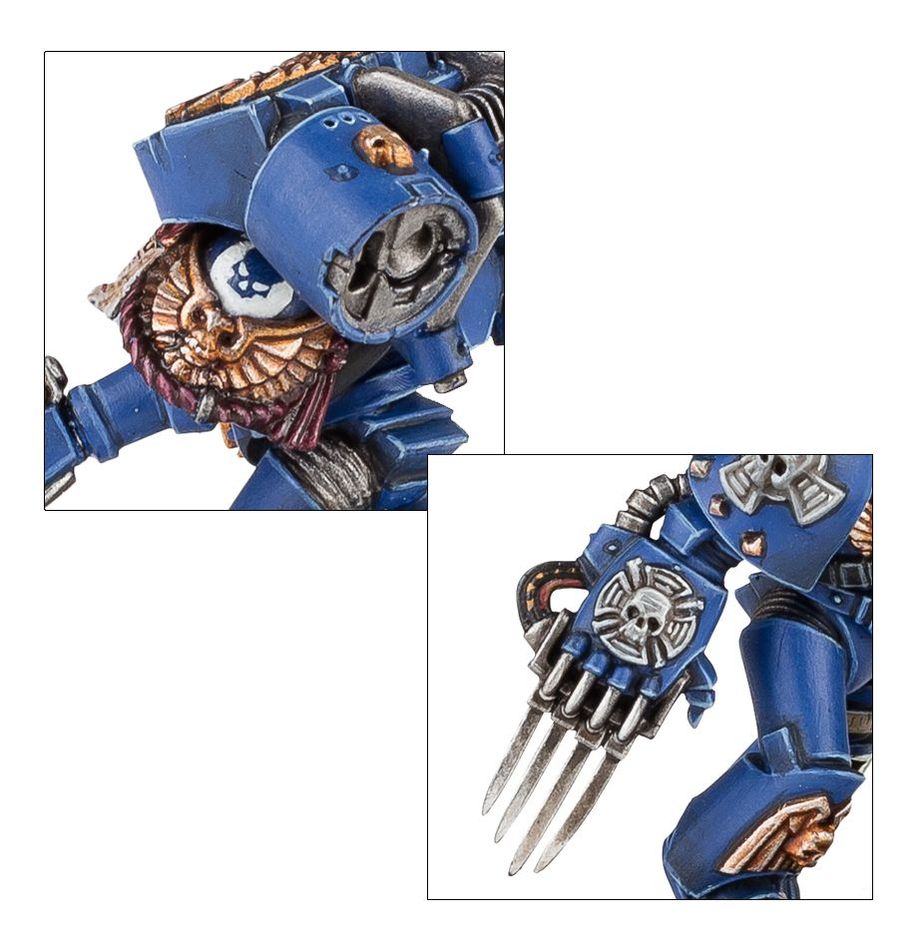 Space Marines: Vanguard Veterans