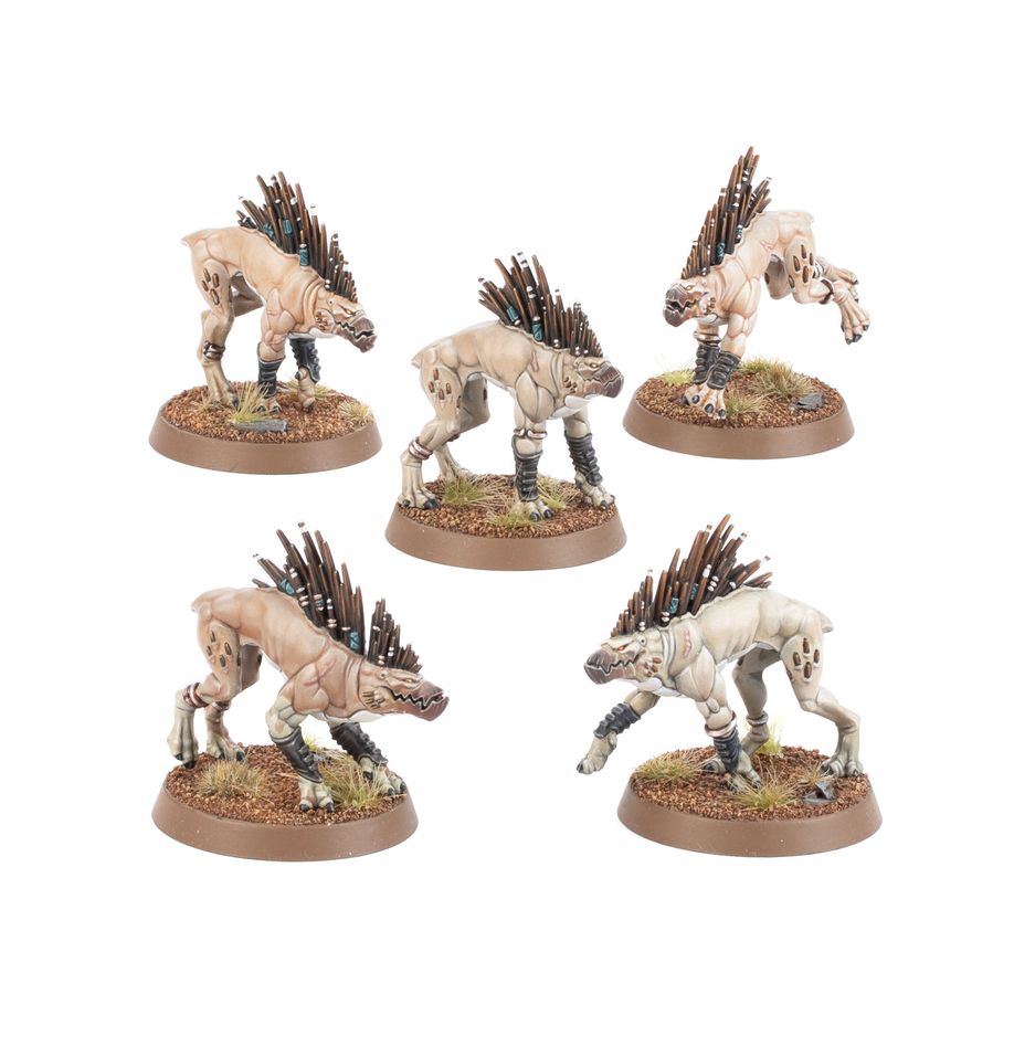 T’au Empire: Kill Team: Kroot Hounds
