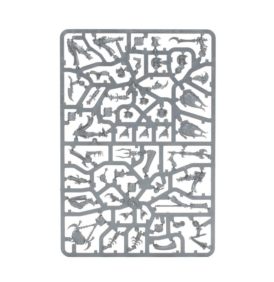 Hedonites - Myrmidesh Painbringers