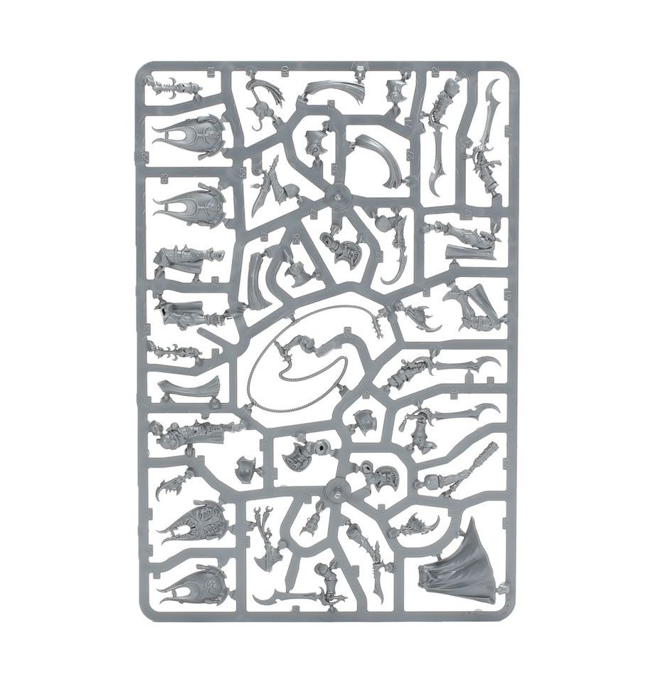 Hedonites - Myrmidesh Painbringers