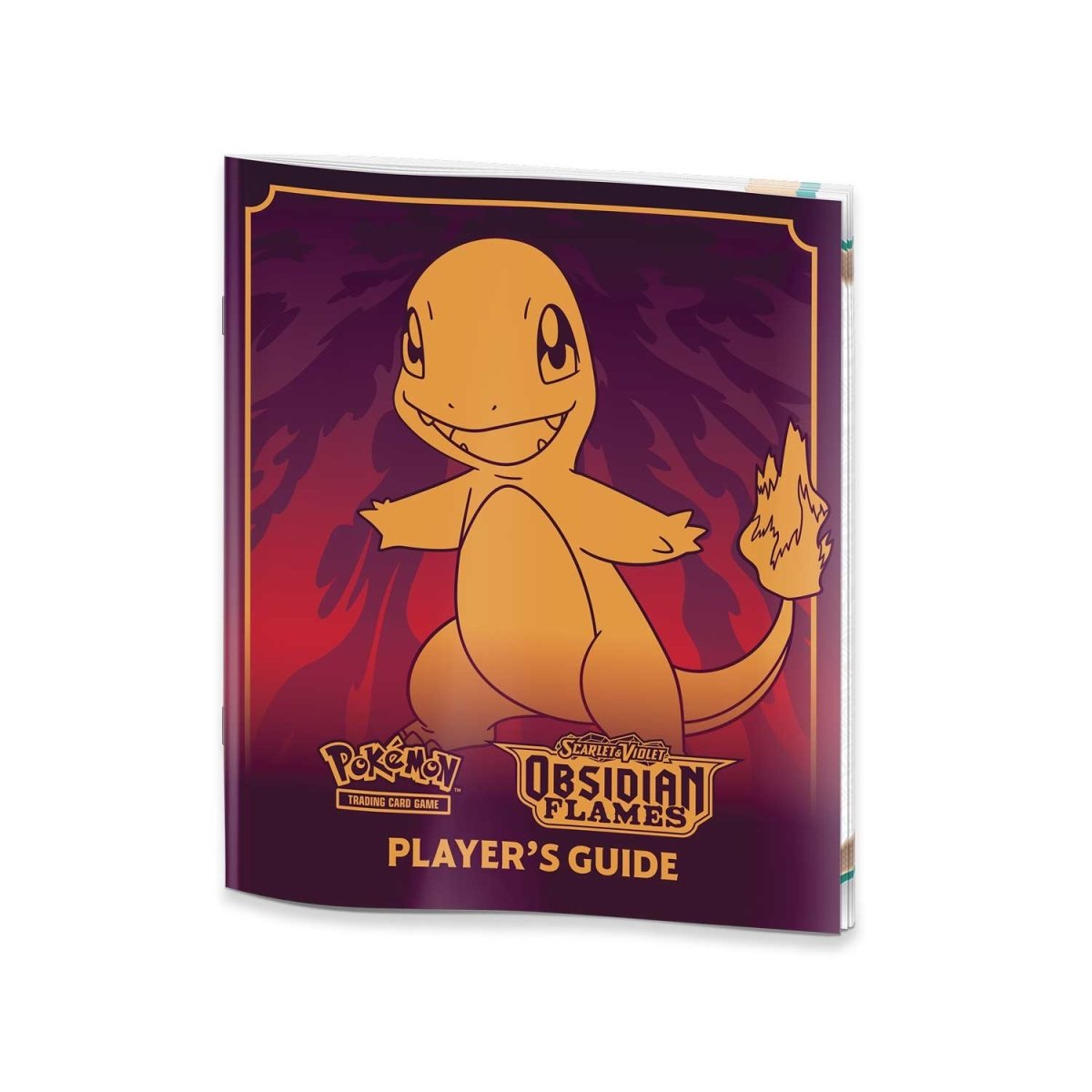 Image showing the included player guide. The Player guide shows Charmander on the front of it.