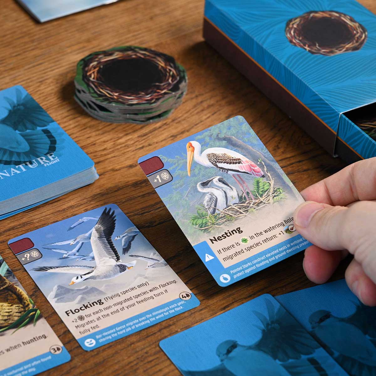 Nature - Module 1: Flight product image 4