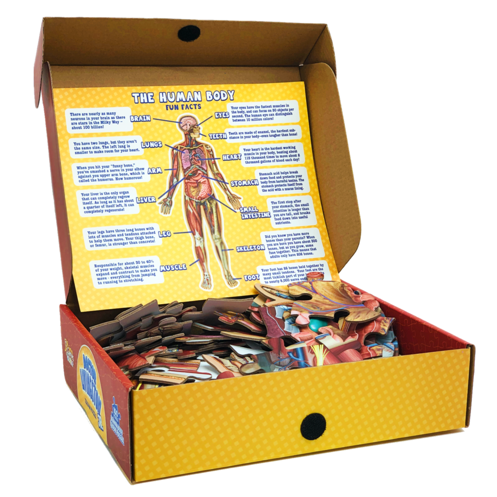 Doctor Livingston JR. Board Game