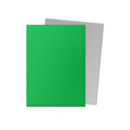 Dragon Shield - Apple Green & Silver - Dual Matte Sleeves 100ct
