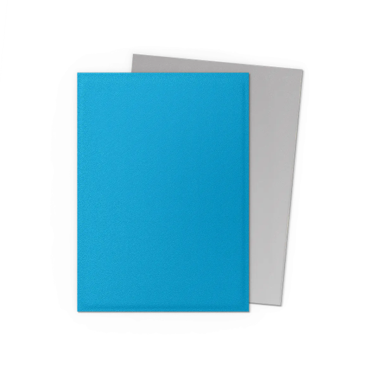 Dragon Shield - Sky Blue & Silver - Dual Matte Sleeves 100ct