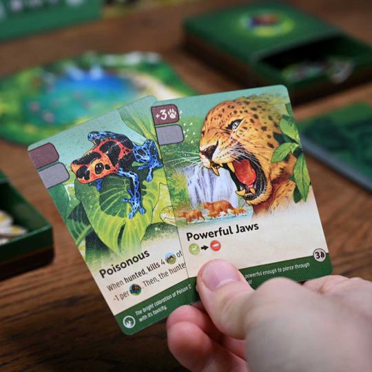 Nature - Module 5: Rainforest product image 3