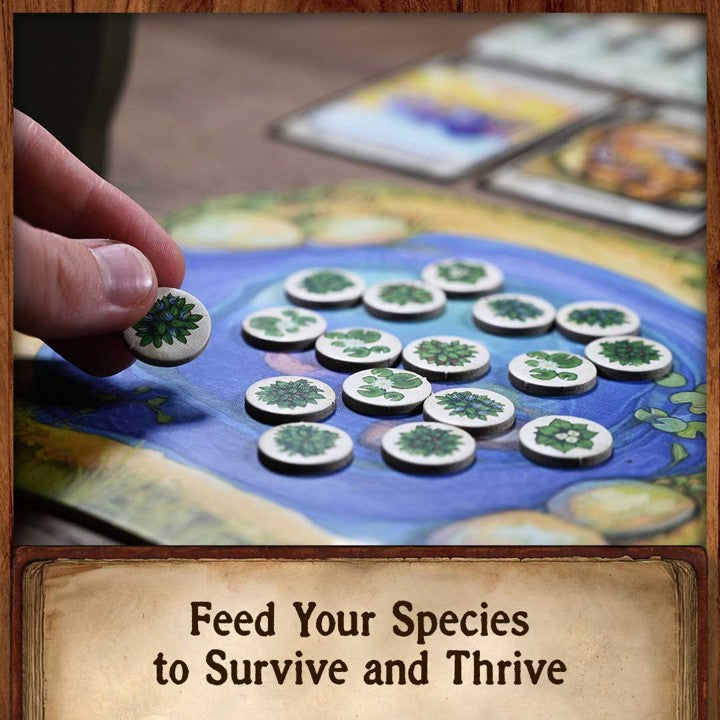 Evolution product image 4