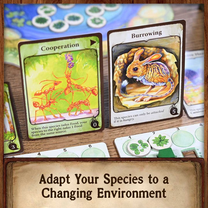 Evolution product image 5