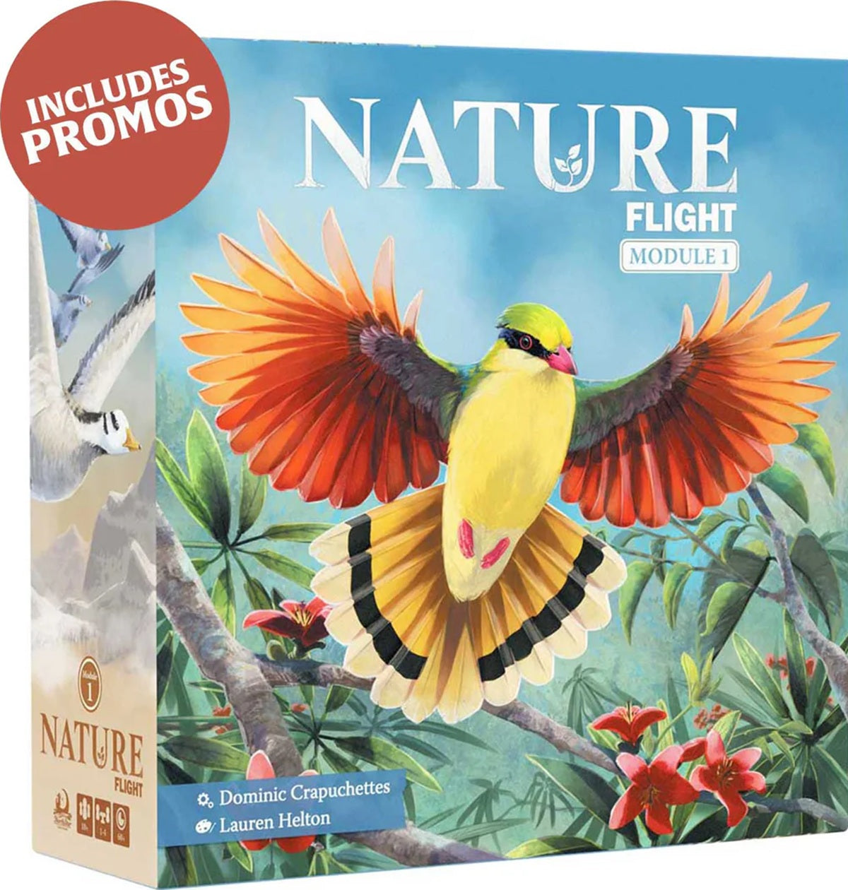 Nature - Module 1: Flight product image