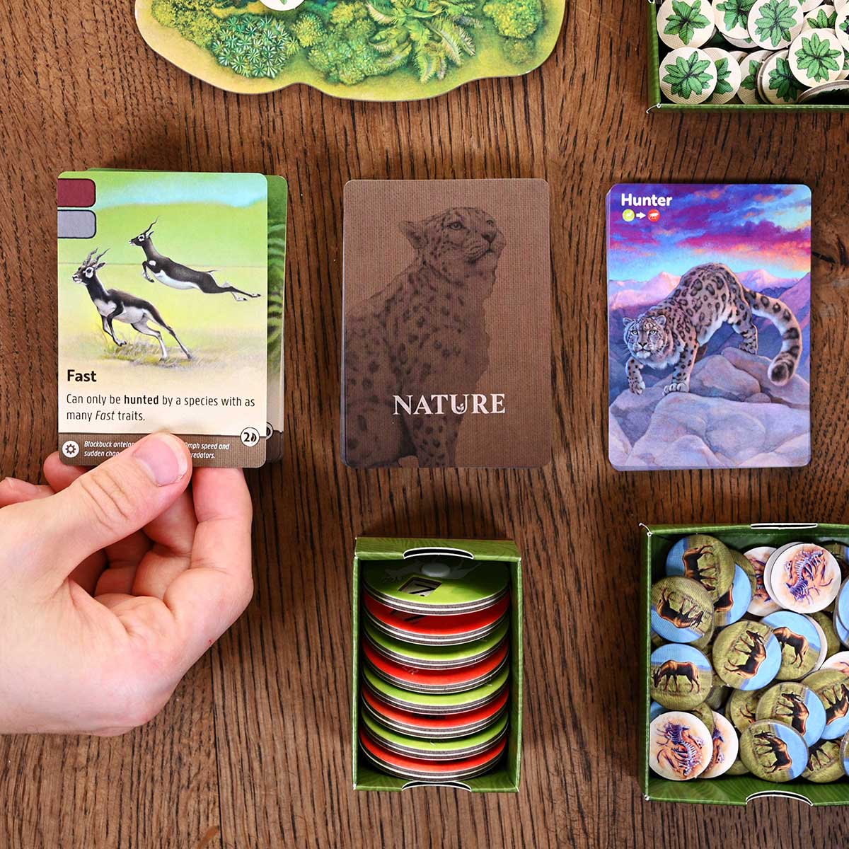 Nature product image 6
