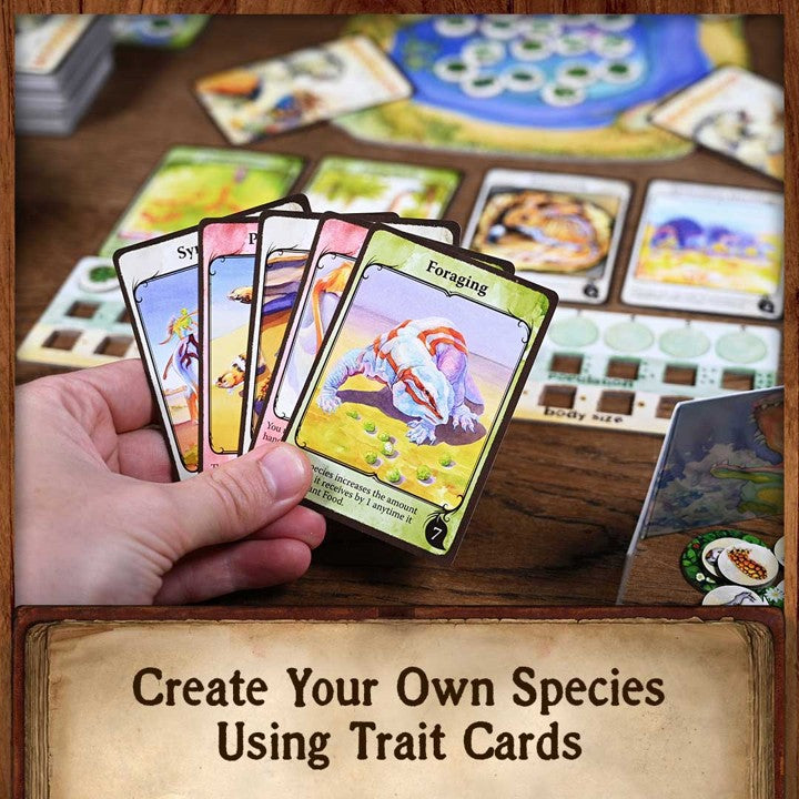 Evolution product image 3