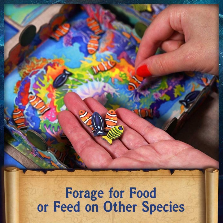 Oceans product image 5