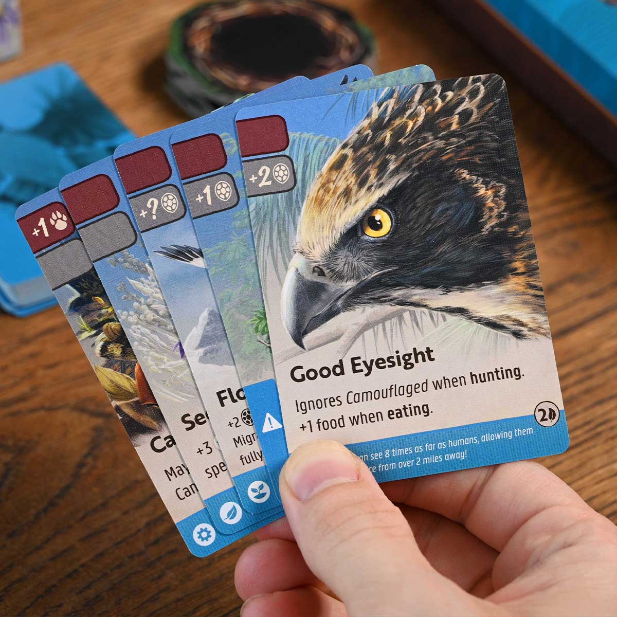 Nature - Module 1: Flight product image 3