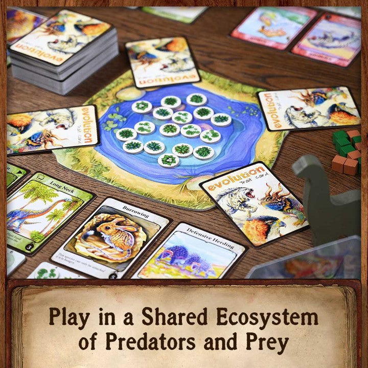 Evolution product image 2