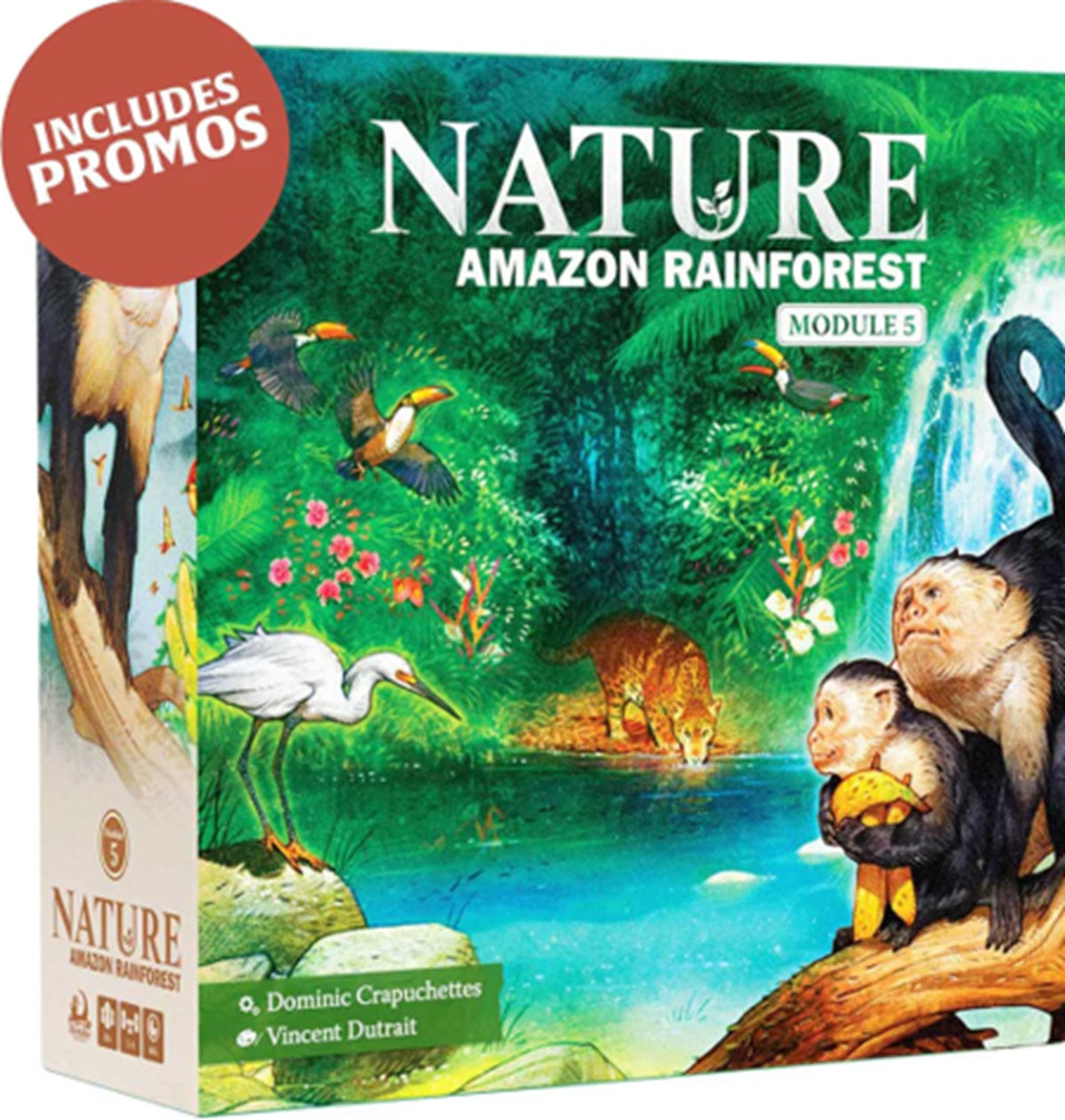 Nature - Module 5: Rainforest product image