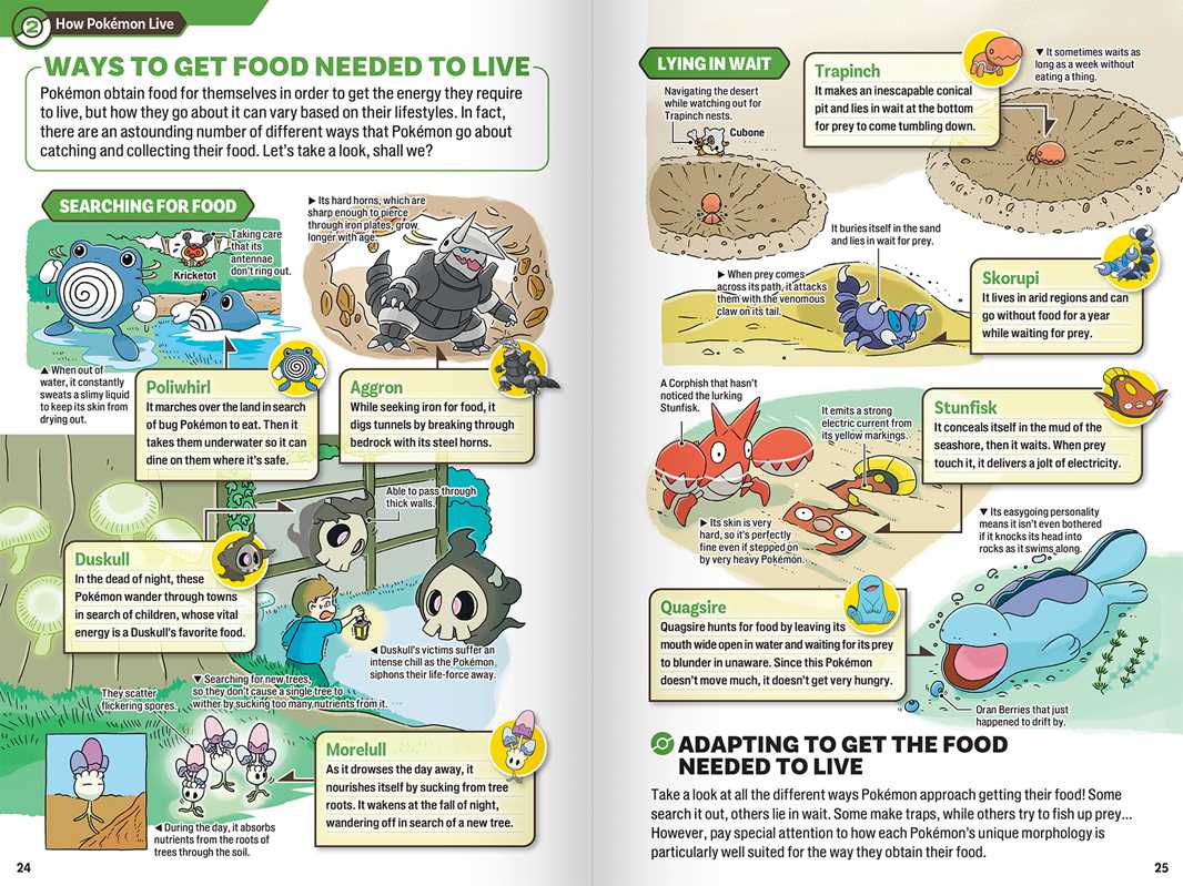 Pokecology an Illustrated Guide to Pokémon Ecology product image 4